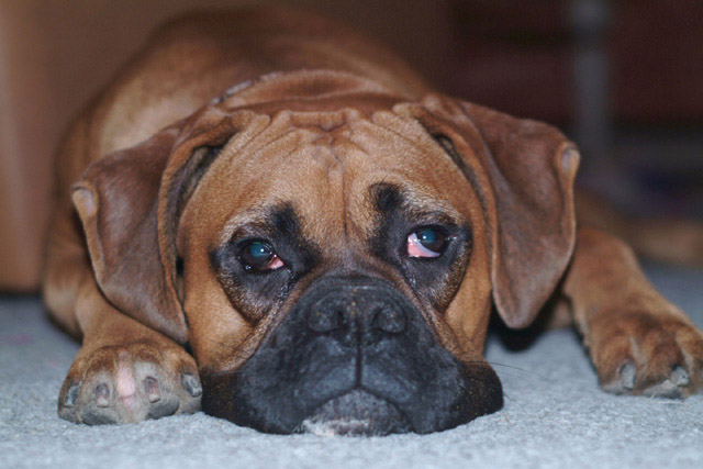 Pouting Foreman