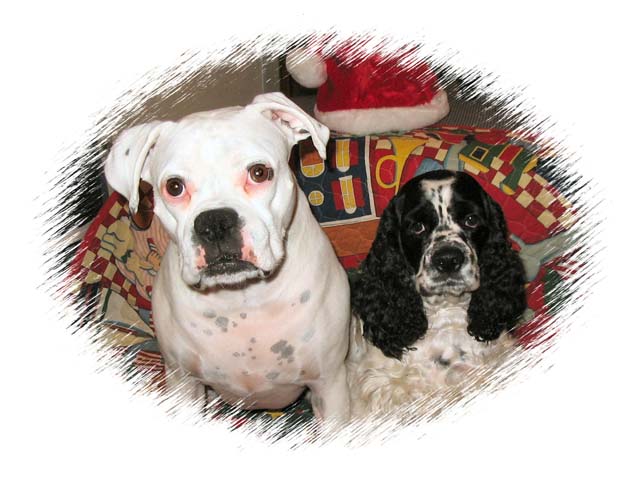 Powder and Barkley Christmas 05