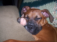 Power Nap!