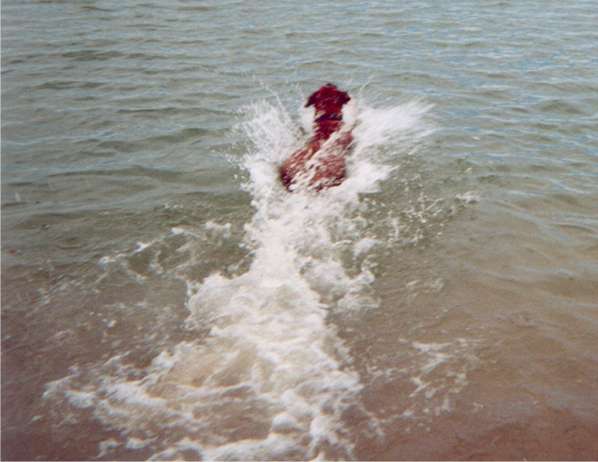 Power take off
