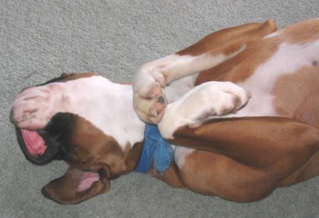 Praying in her sleep?