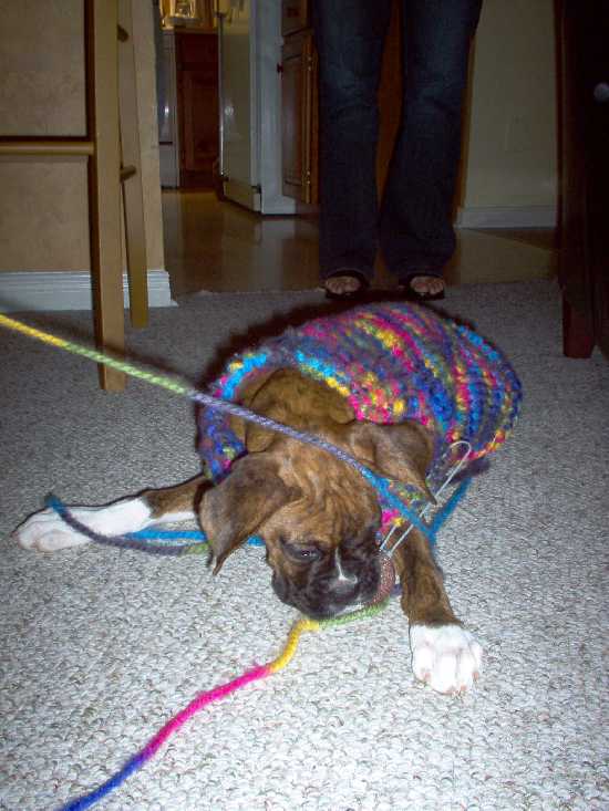 Preaparing for winter...