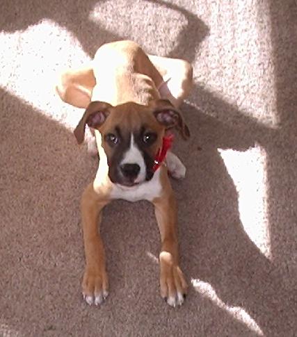 Precious girl!