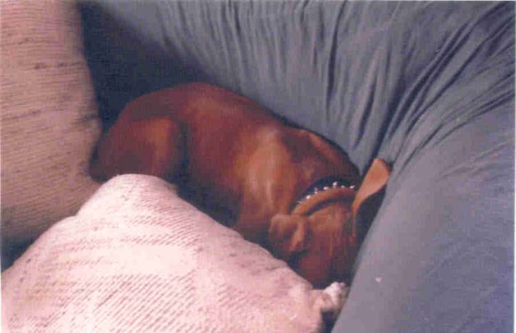 Precious hidding.