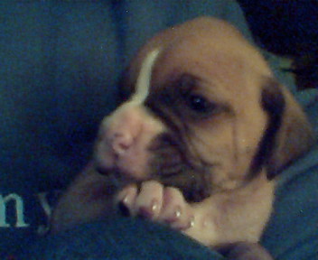 precious lil guy