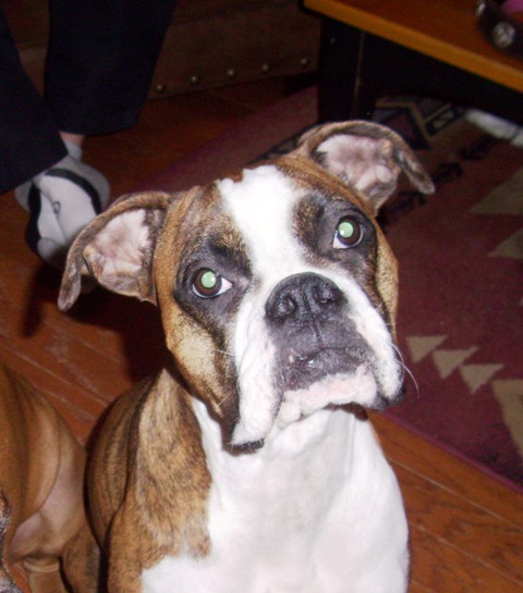 Precious Roxy