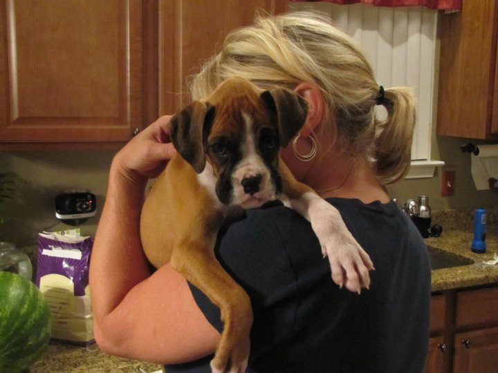 Presley