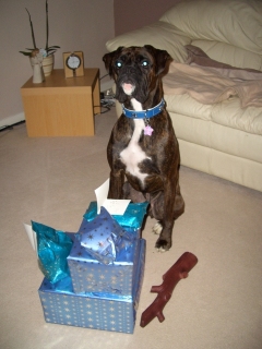 Pressies_1_