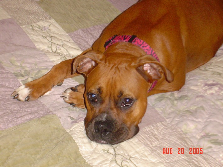 Prettu Girl