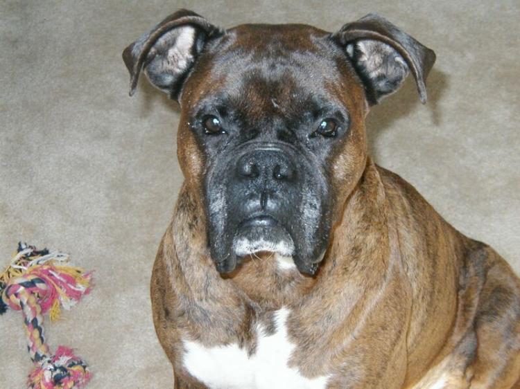 Pretty Archie