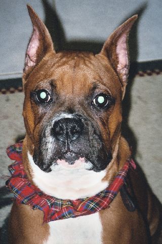Pretty Face Cisco