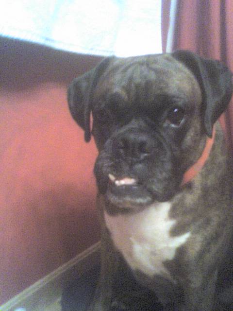 Pretty face:)