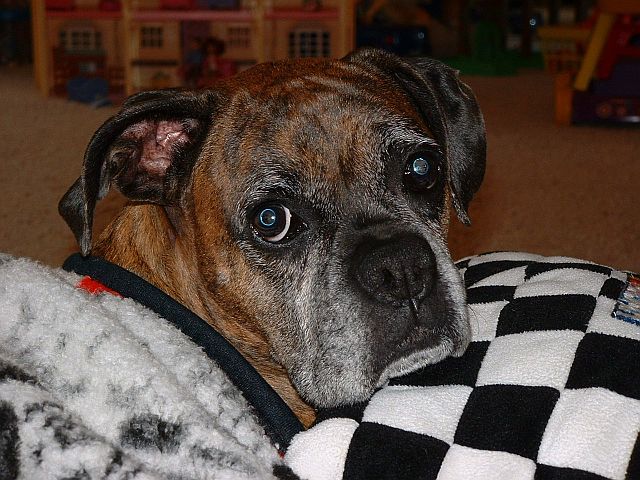 Pretty Girl 7-2008