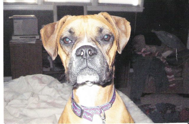 Pretty girl Abbie