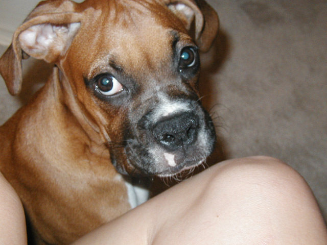 Pretty Girl