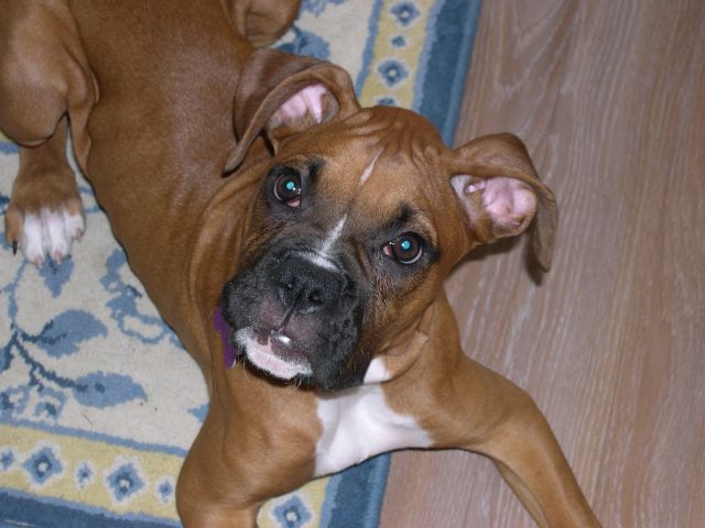 pretty girl