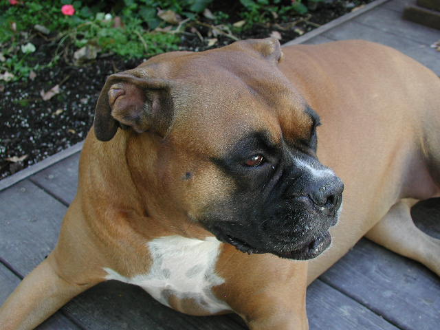 pretty girl