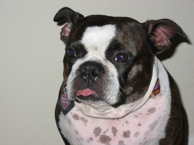 Pretty girl