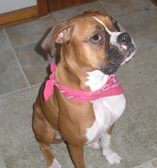 Pretty girl