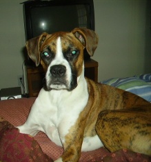 Pretty girl!