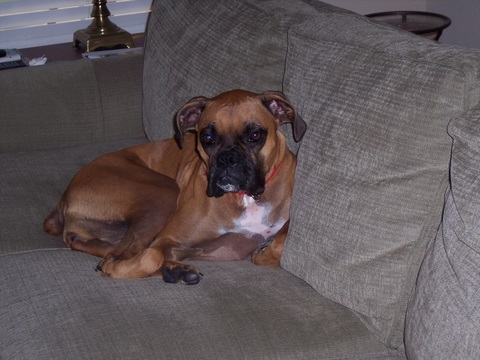 Pretty Girl