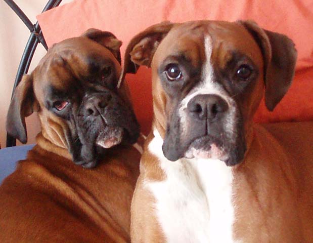 Pretty Girls