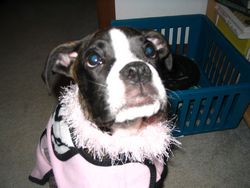 Pretty in Pink