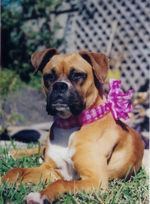 Pretty in Pink