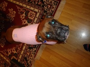Pretty In Pink!