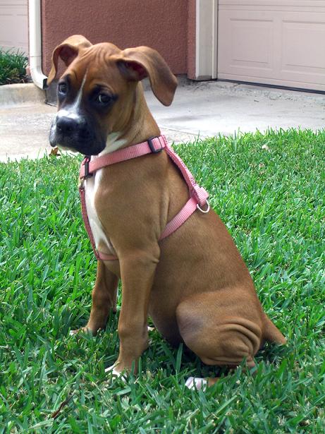 Pretty in Pink