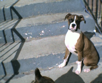Pretty Kia