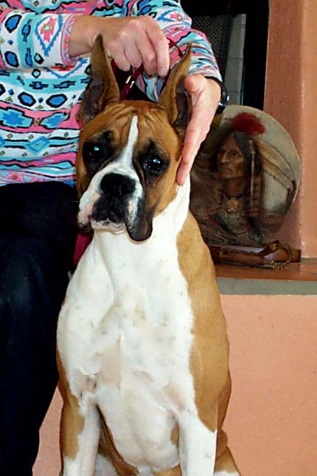 Pretty Laci