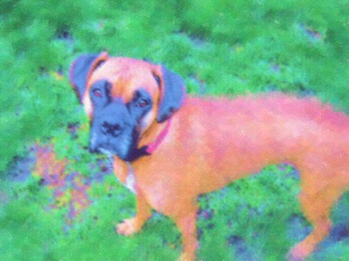 Pretty Layla in pastel :)
