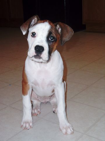 Pretty little girl