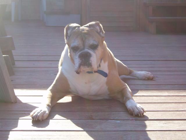 Pretty Old Lady