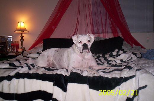 Pretty pretty princess