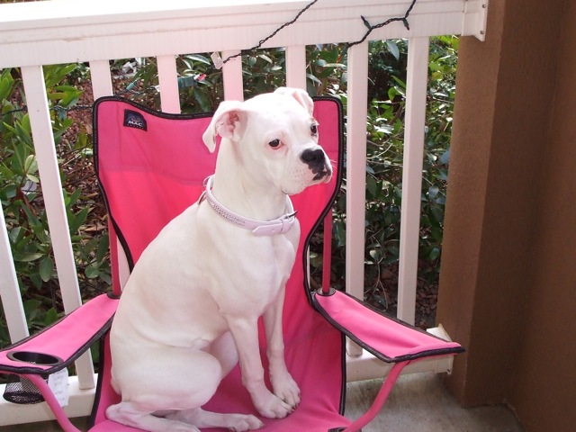 pretty pretty princess!
