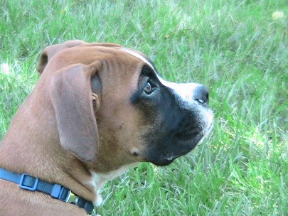 pretty profile
