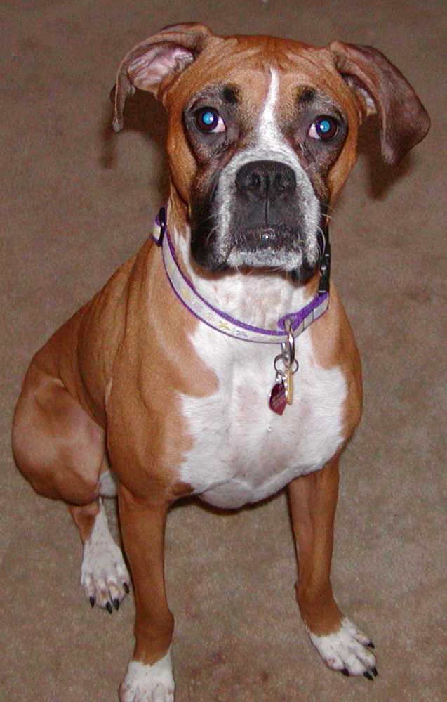 Pretty Roxy Daisy!