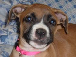 pretty smiling baby