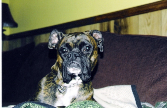 Prince Bubba