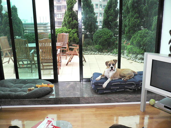 Prince on the pea.