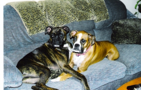 Prince & Roxy