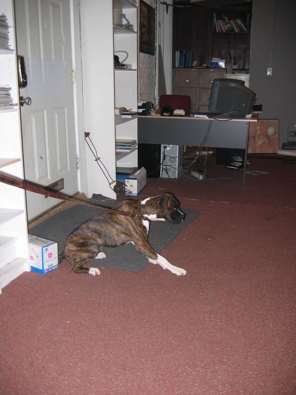 Prince trying to get at something