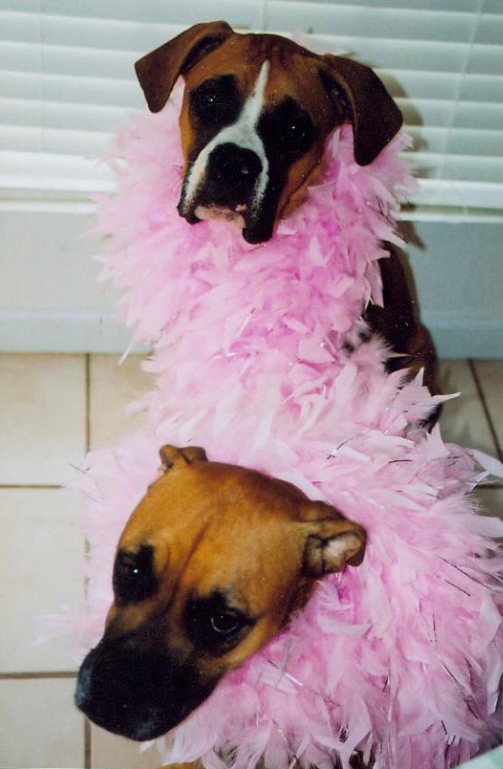 Princess AND Mac hamming it up!