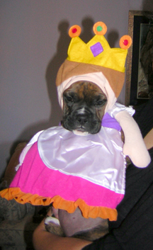 Princess Bella
