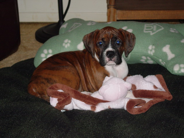 Princess Maggie