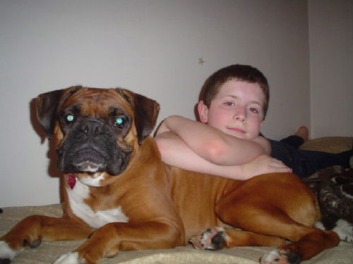 Princess & my little brother