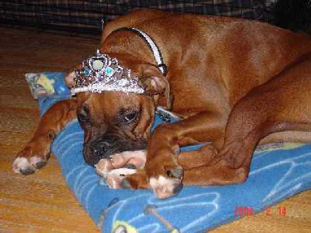 Princess Otis.