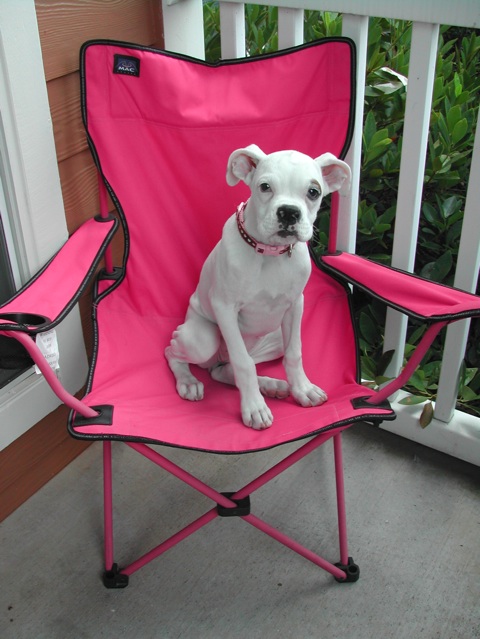 princess sitting in her throne